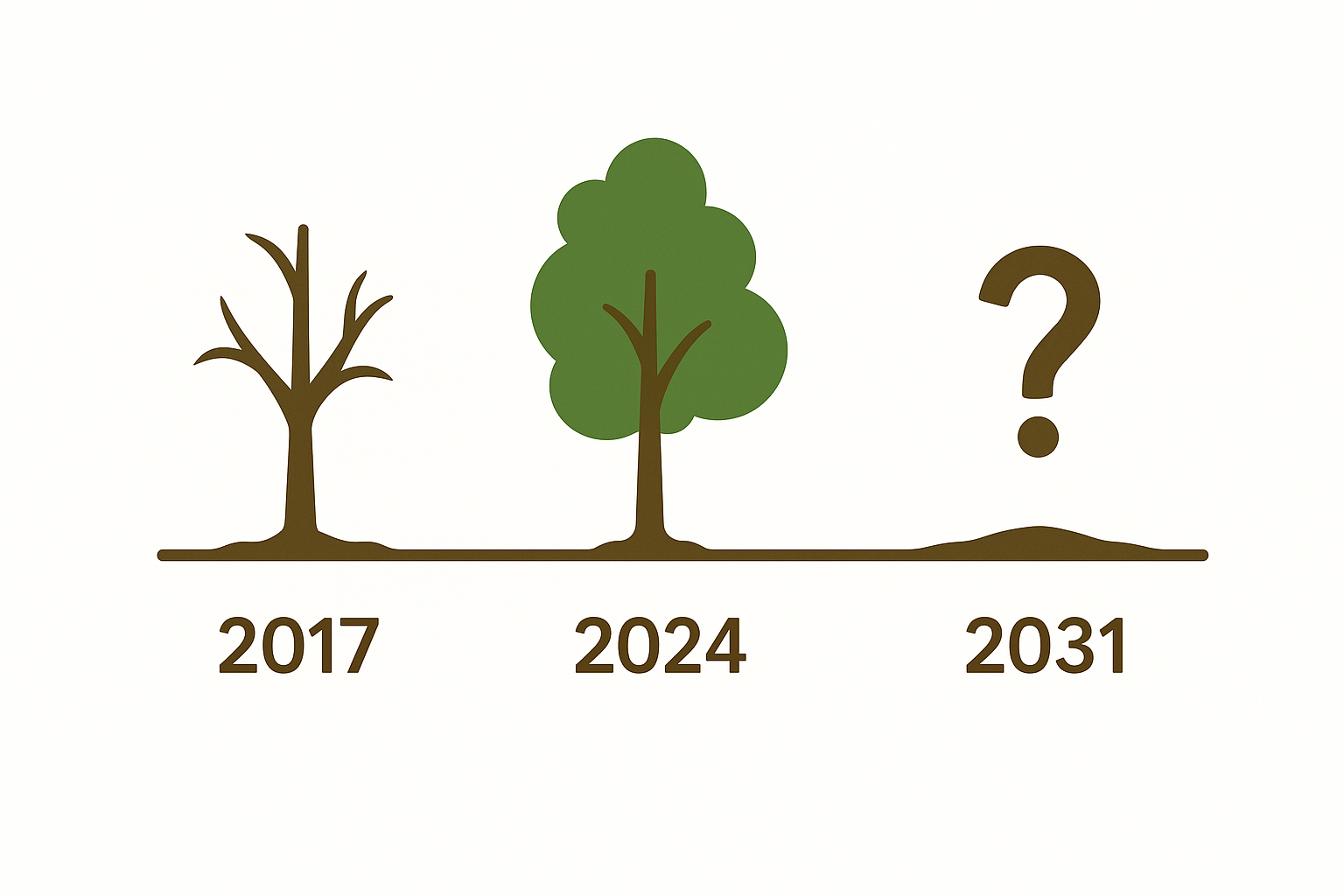 Infográfico minimalista mostra linha do tempo da escassez de madeira em 2017, 2024 e 2031, destacando que vale a pena investir em eucalipto para garantir oferta futura.